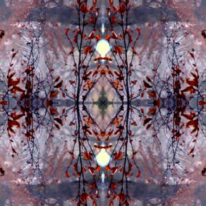 SOBH (feat. Sajad kiani)