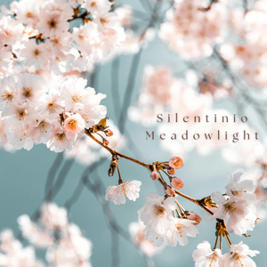 Meadowlight