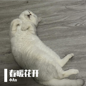 桜手紙 (1)