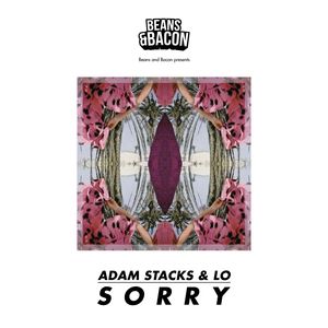 Sorry (Extended Version)