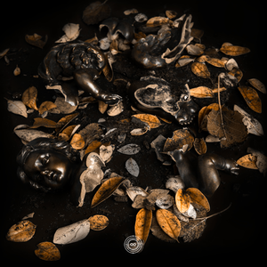 Dangerous Scenarios (feat. Rules)