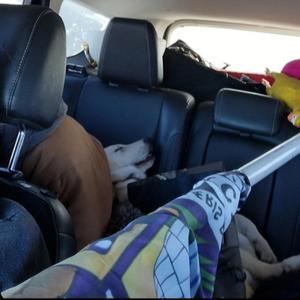 Walmart Thief (feat. Fony Wallace)