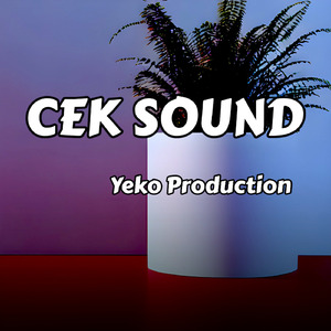 Cek Sound (Remix)