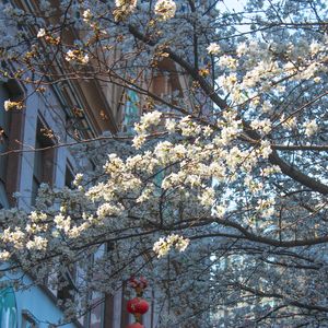 Love makes sky light