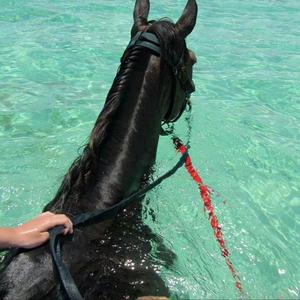 Read All About It (Amice Remix)