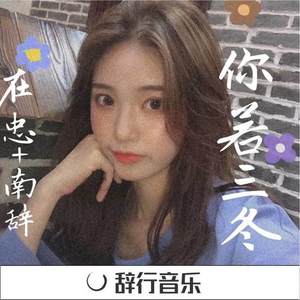 没有撤退可言 (DJ版)