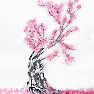 Sakura no Namida (Tears of Sakura)