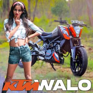 KTM Walo (Tarpa Mix)