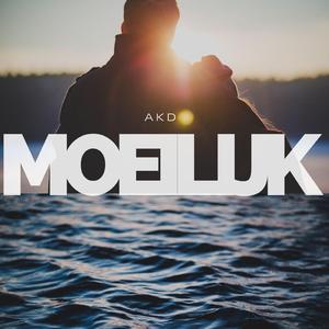 Moeilijk