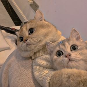 答应不在爱你（吉他版）