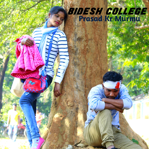 Bidesh College