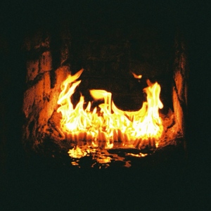 Puparium