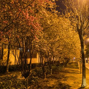 过程已是奖励 何必追问结局