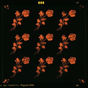 Bastard（Prod.JYJ）