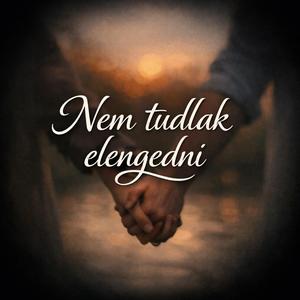 Nem tudlak elengedni