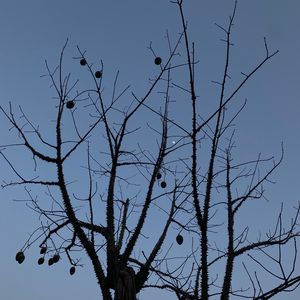 身体被掏空 prod by lisure