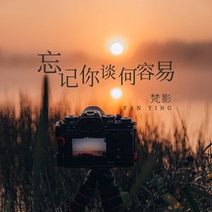 难以抹去的记忆