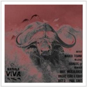 gringos (original mix)