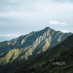 发梢的温柔