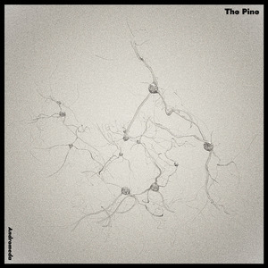 The Pine 塔顶松