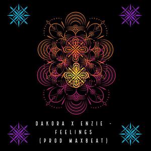 Feelings (feat. Enzie)