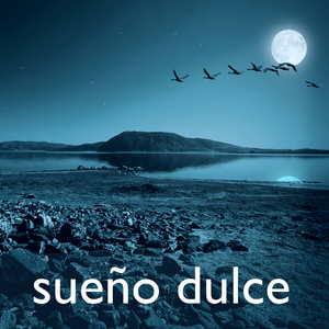 Relaxing Music for Dogs