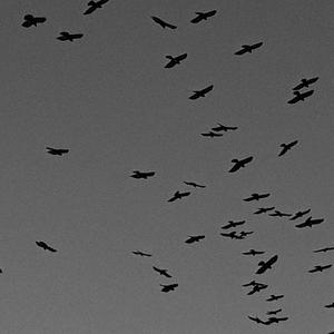 i didn't want you to leave