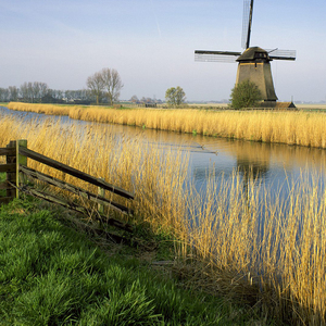 你对我的爱有没有真过