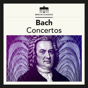 Italienisches Konzert, BWV 971: Allegro spirituoso e con brio (Arr. by Enrique Crespo and and Matthias Höfs)