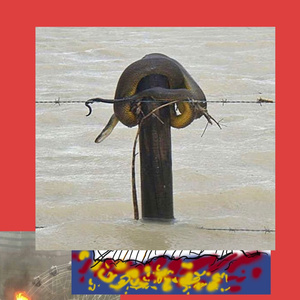 intense drummomania! who will win?