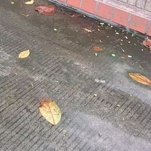 渐行渐远的风景