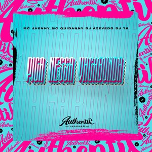 Pica Nessa Vagabunda (feat. mc jhenny & Mc Guidanny)