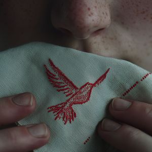 Летел голубь