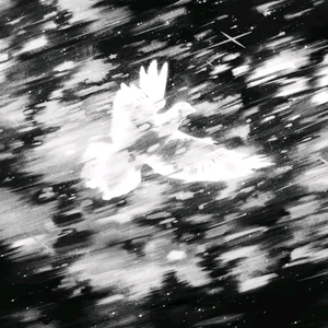 空房间