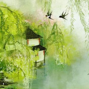 雨落青山（DJ Colonel remix）