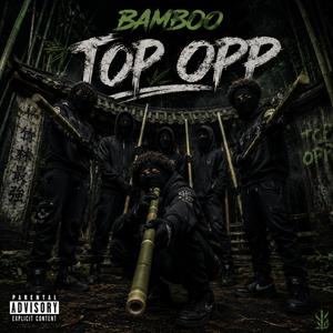 Bamboo