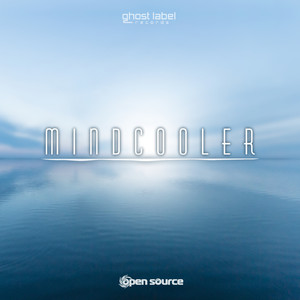 Never Forever (Psybreaks Version)