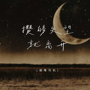 攒够失望就离开