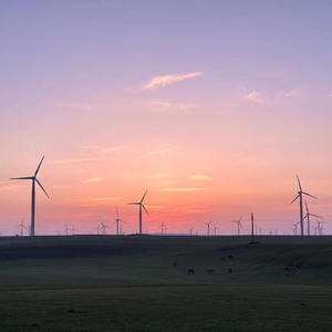 去有风的地方（Live）