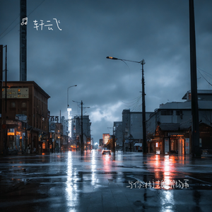 与你淋过的那场雨