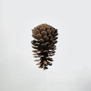 RATA (ft Kofke 117) (feat. Kofke 117)