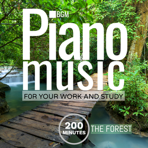 Piano from the Hoia-Baciu Forest