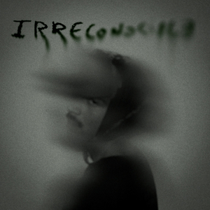 irreconocible