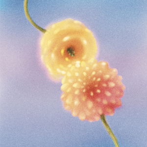 네 손을 잡을게