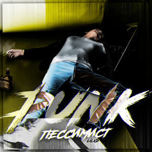 Панк-пессимист