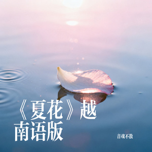 《夏花》越南语版