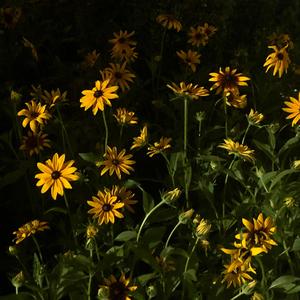 [Code#] "Amanda" // Don’t forget to love yourself