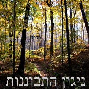 ניגון התבוננות