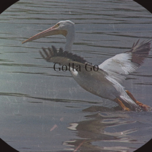 New Wonders On Distant Planets