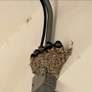 瞬间prod byrainyKKE